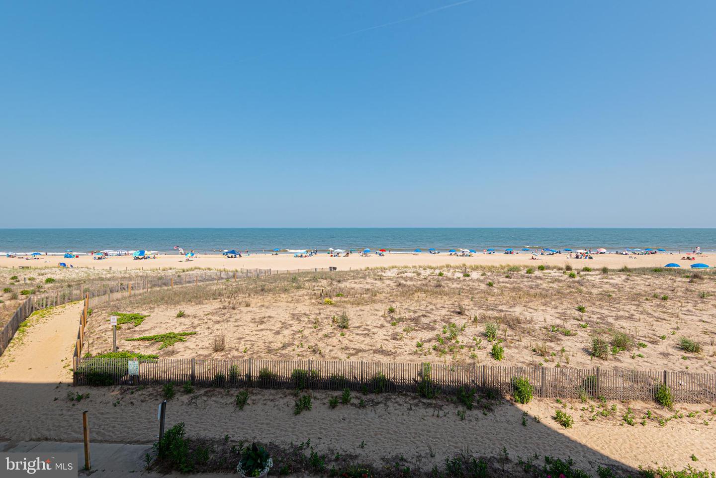 3001 Atlantic Avenue #203