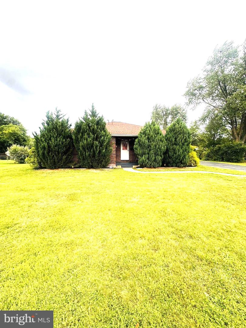 4705 Saint George, Reading