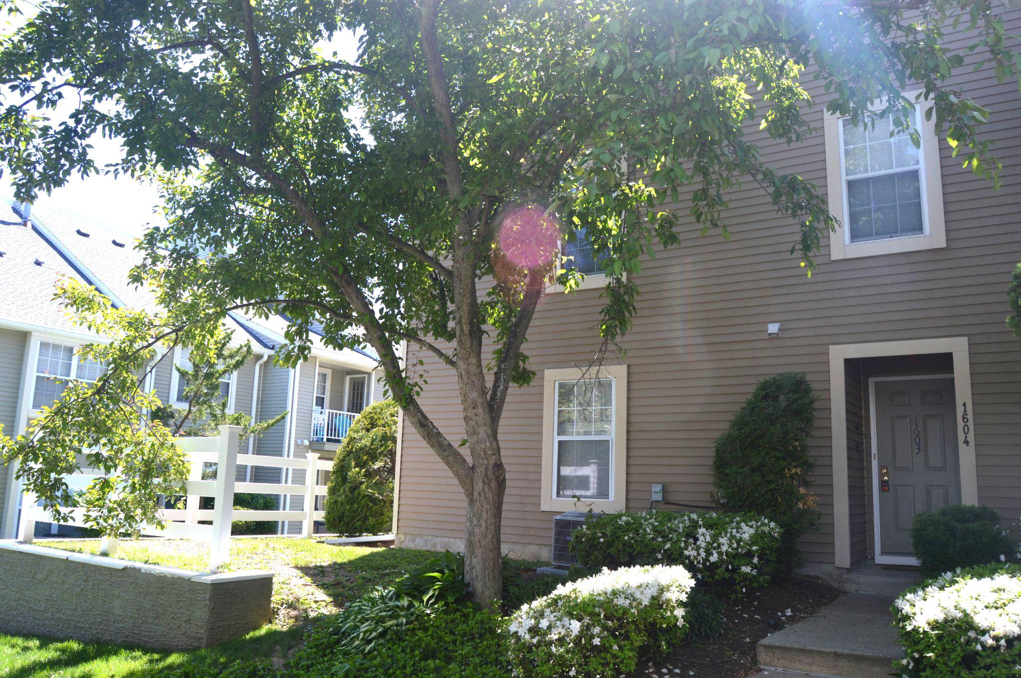 1603 Society Place