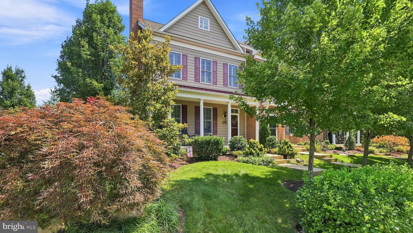 5 Chapman Avenue