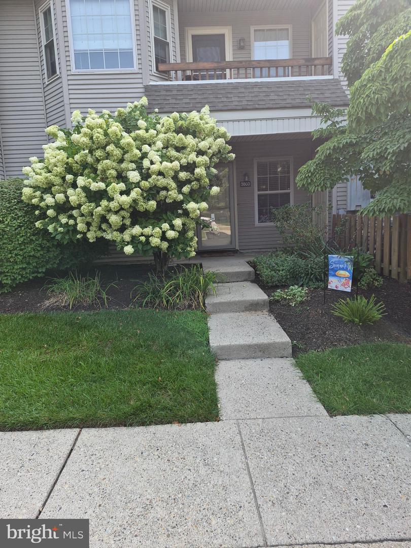 3803 Waltham Court