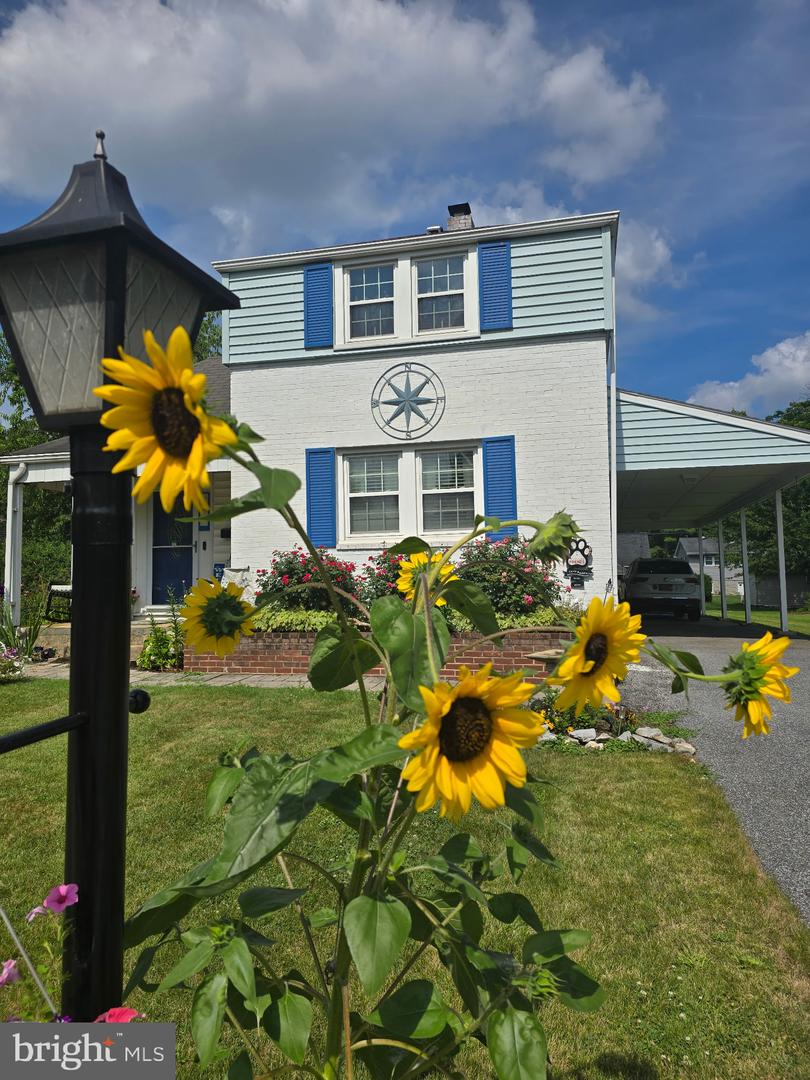 25 Maple Avenue