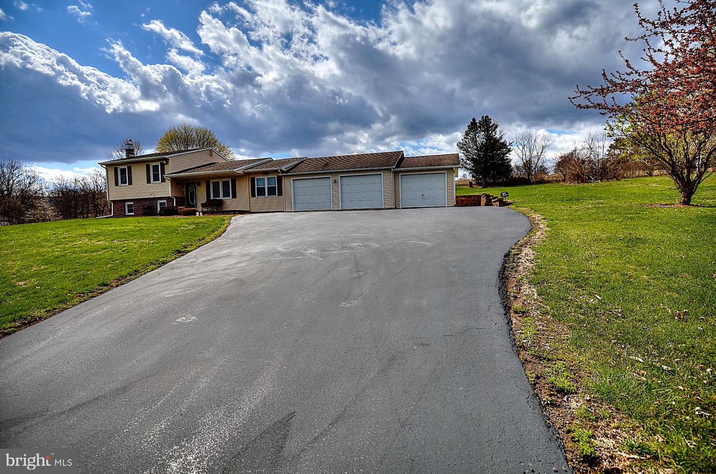 26 Deer, Catawissa