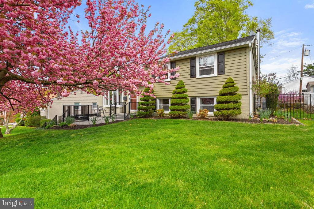 128 Locust Avenue, Springfield