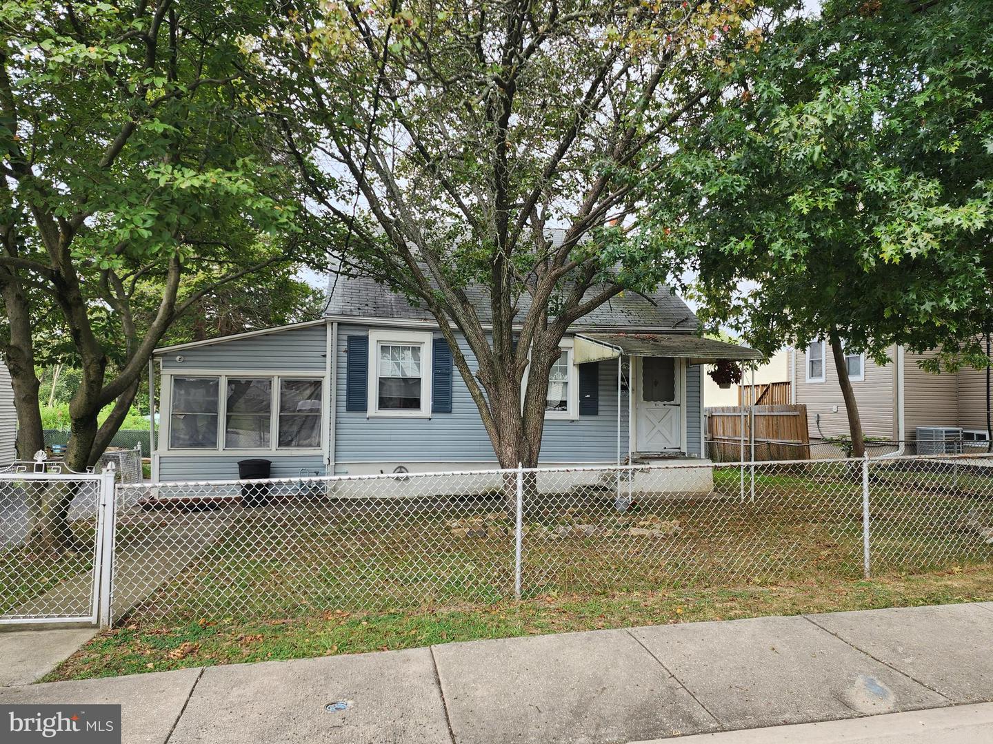 924 Chestnut Street, Trainer