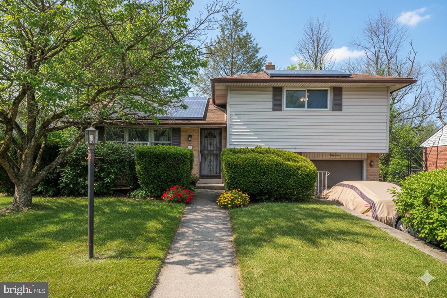 65 Eldon, Lansdowne