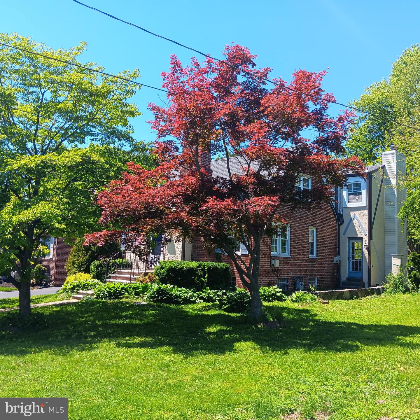 20 Davis Avenue