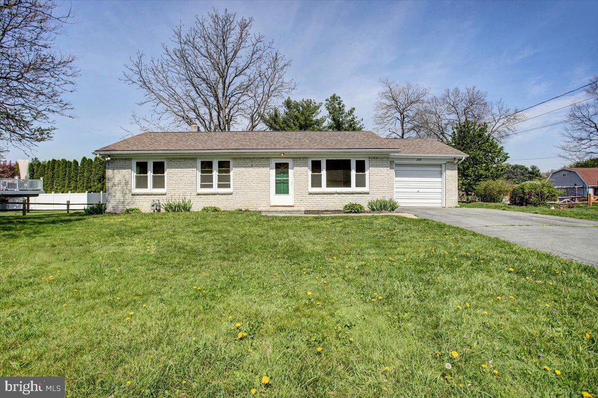 203 University Drive