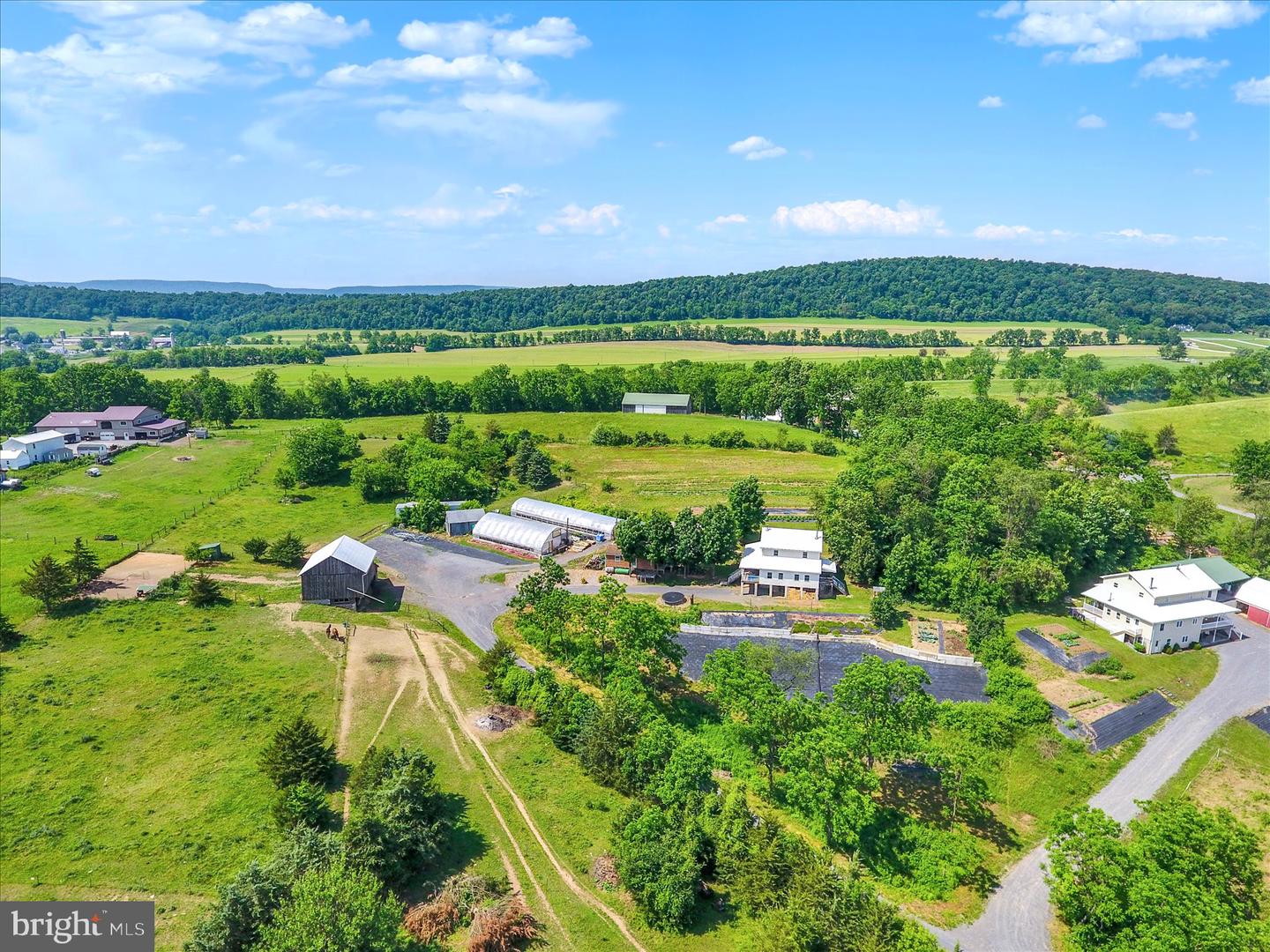 125 Birch Lane