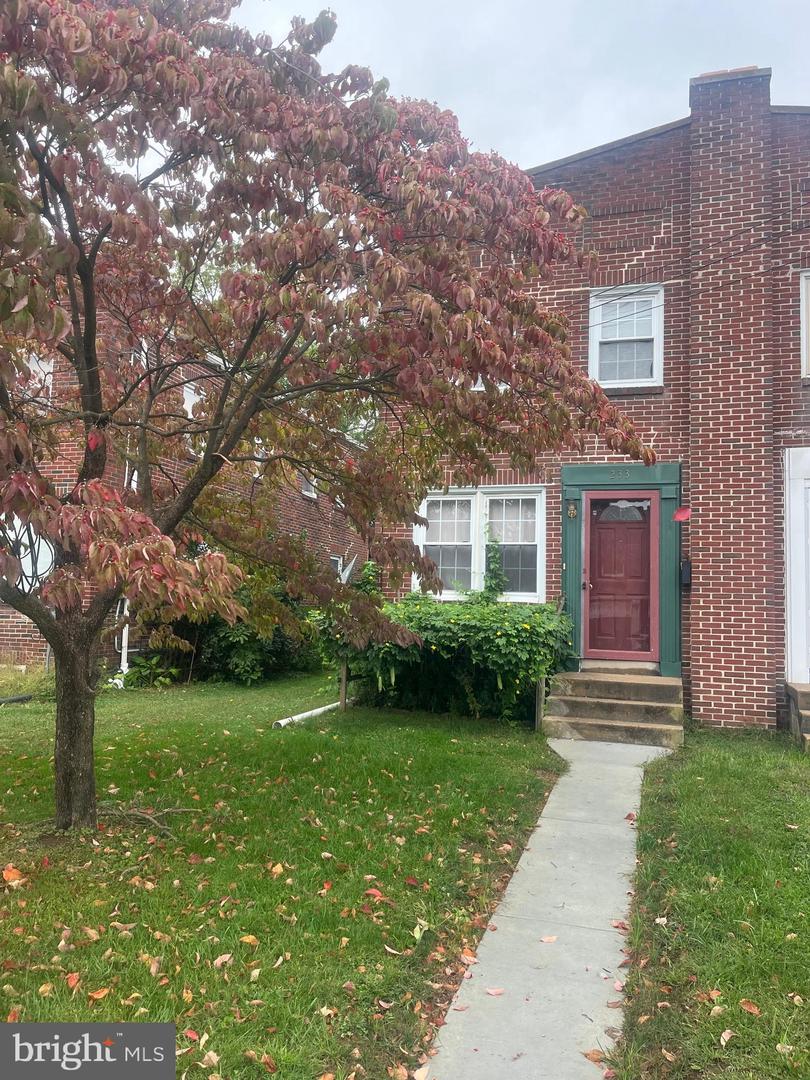 233 Locust Street, New Holland