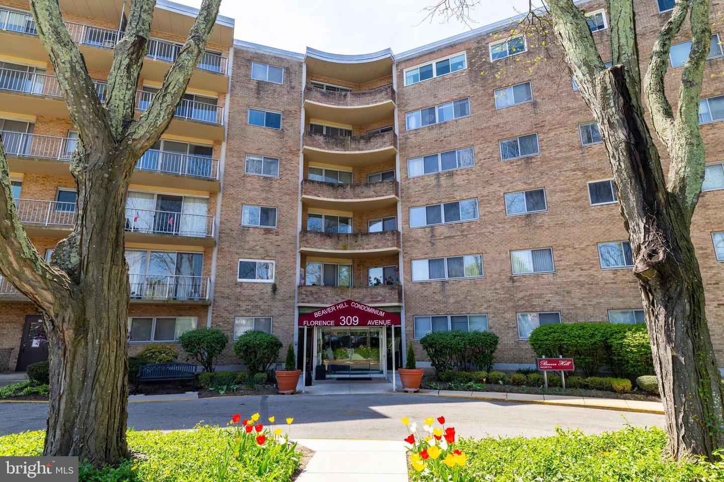 309 Florence Avenue #521 N, Jenkintown