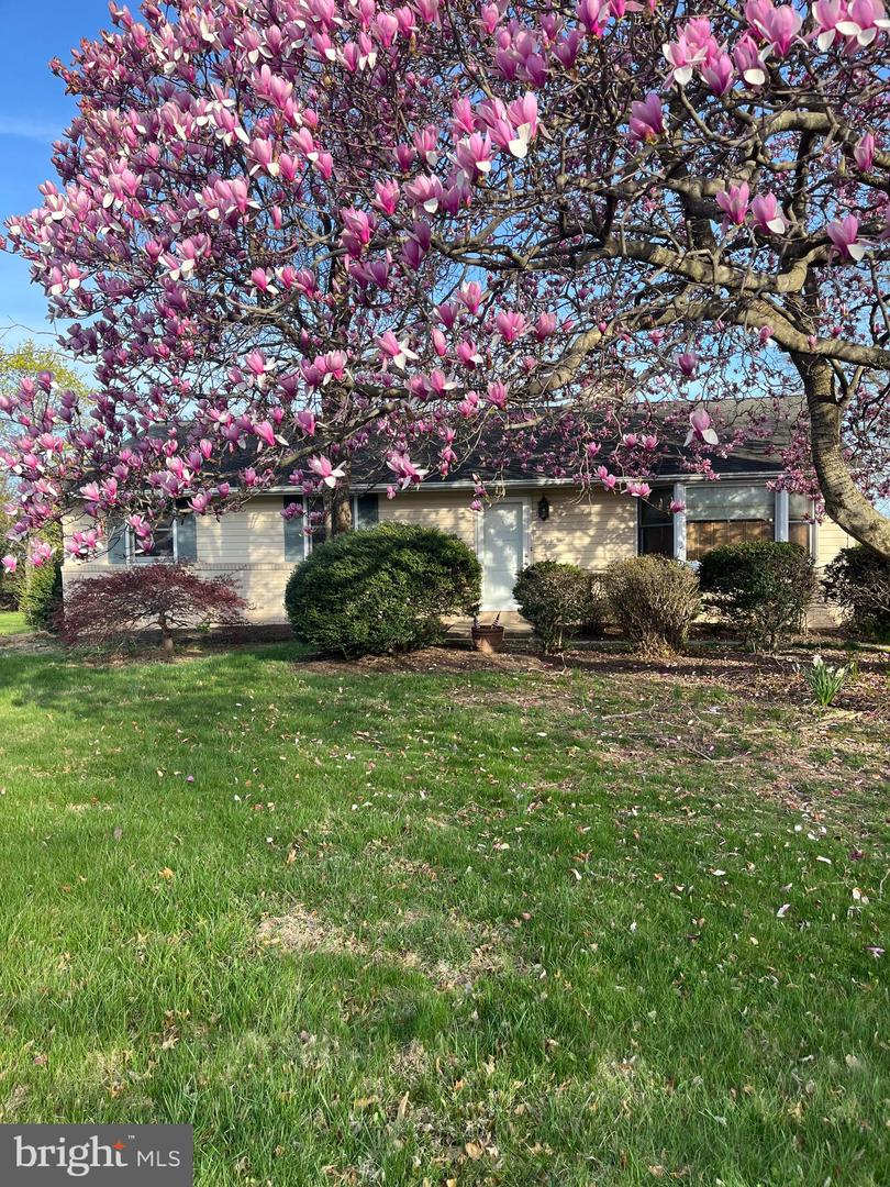 112 Stump Road, North Wales