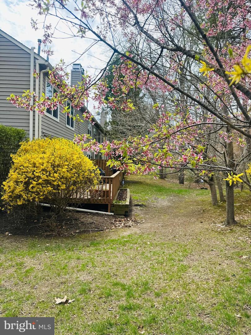 290 Tulip Tree Court, Blue Bell