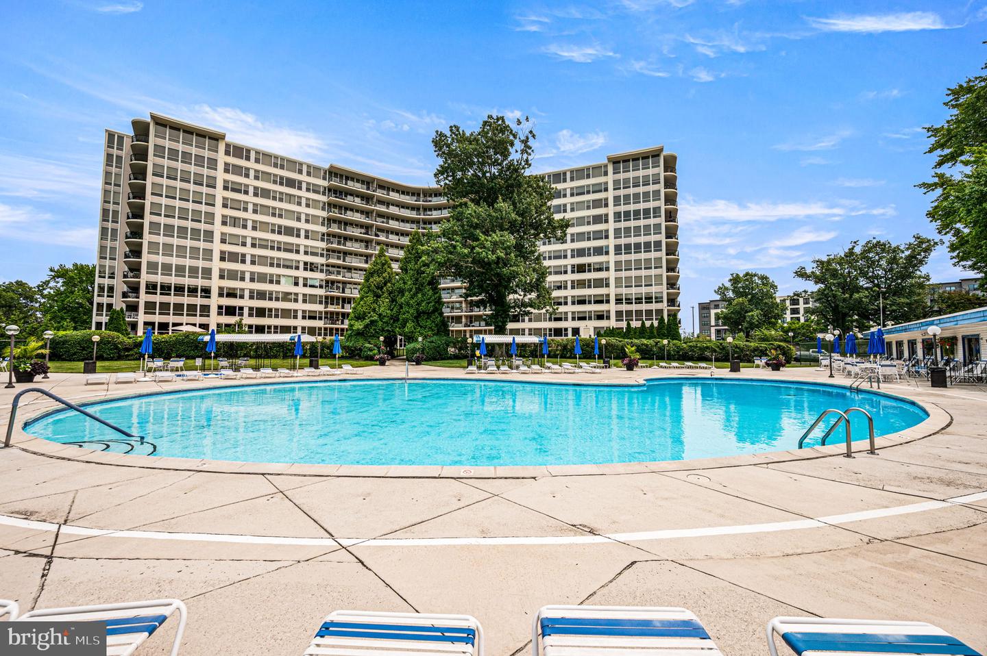 50 Belmont Avenue #401