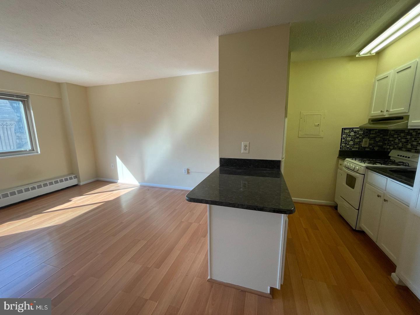 2101 Chestnut Street #1413