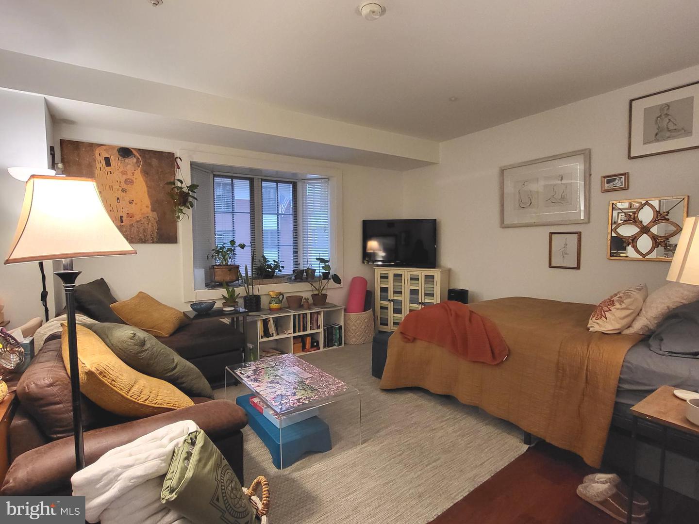 219 S 18th Street #524