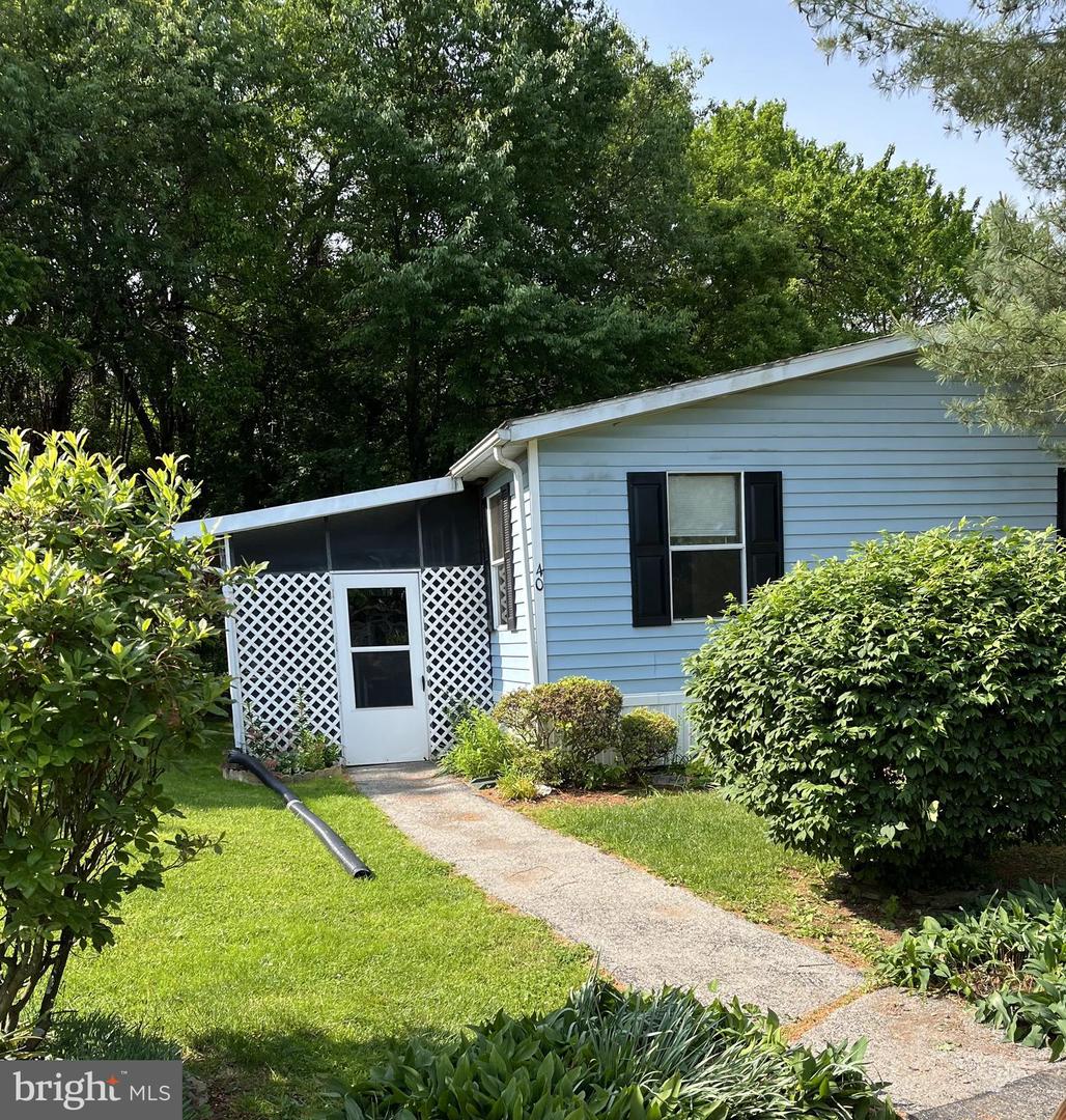 40 Shawna, York
