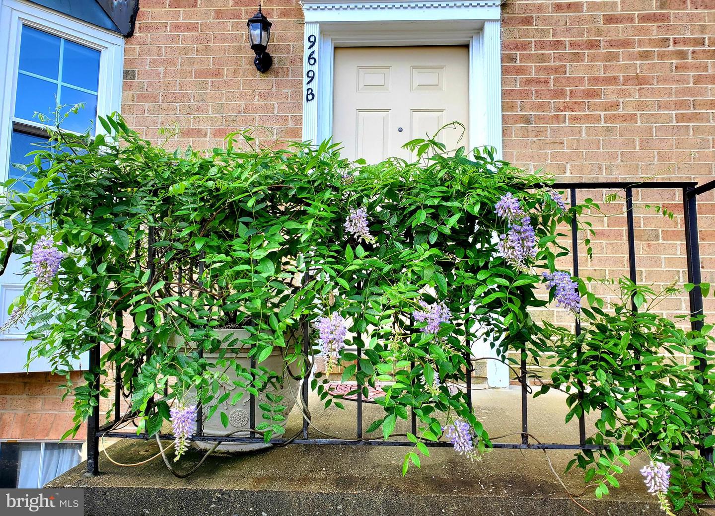 969 S Rolfe Street #2, Arlington