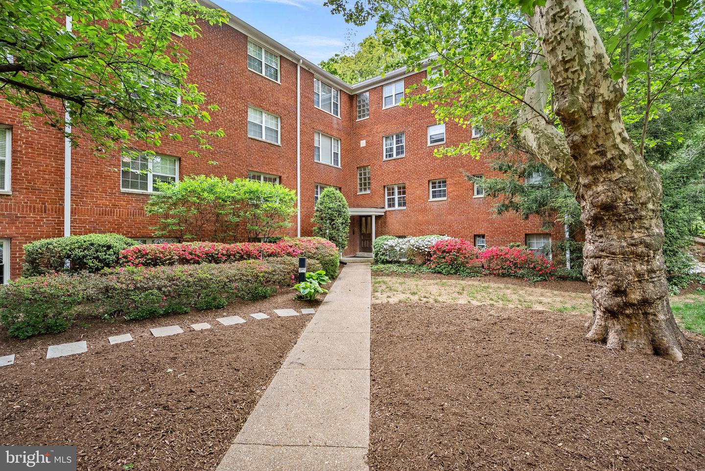 1423 N Nash Street #3