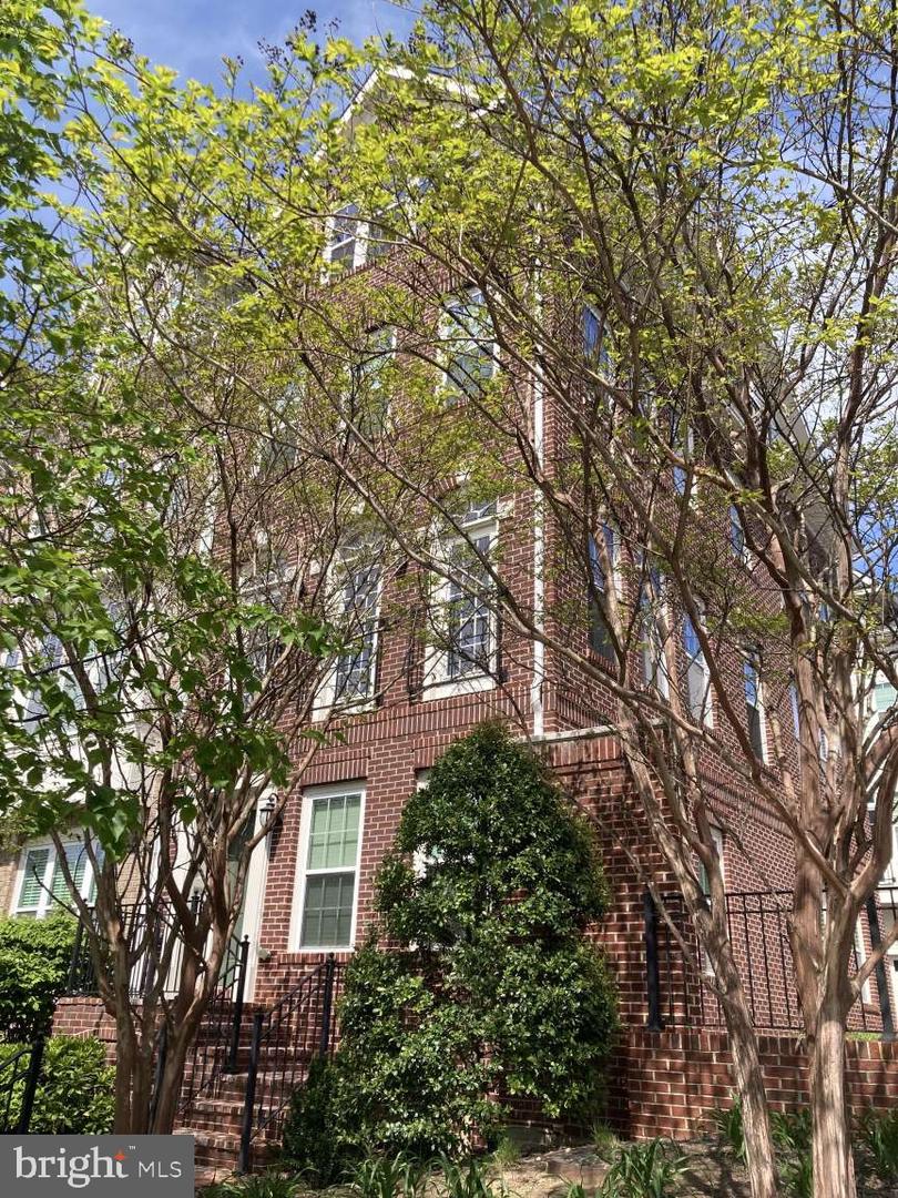 805 N Woodrow Street