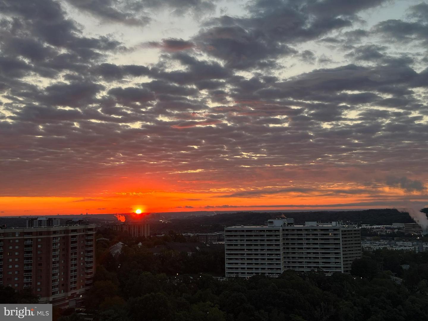 203 Yoakum Parkway #1826, Alexandria