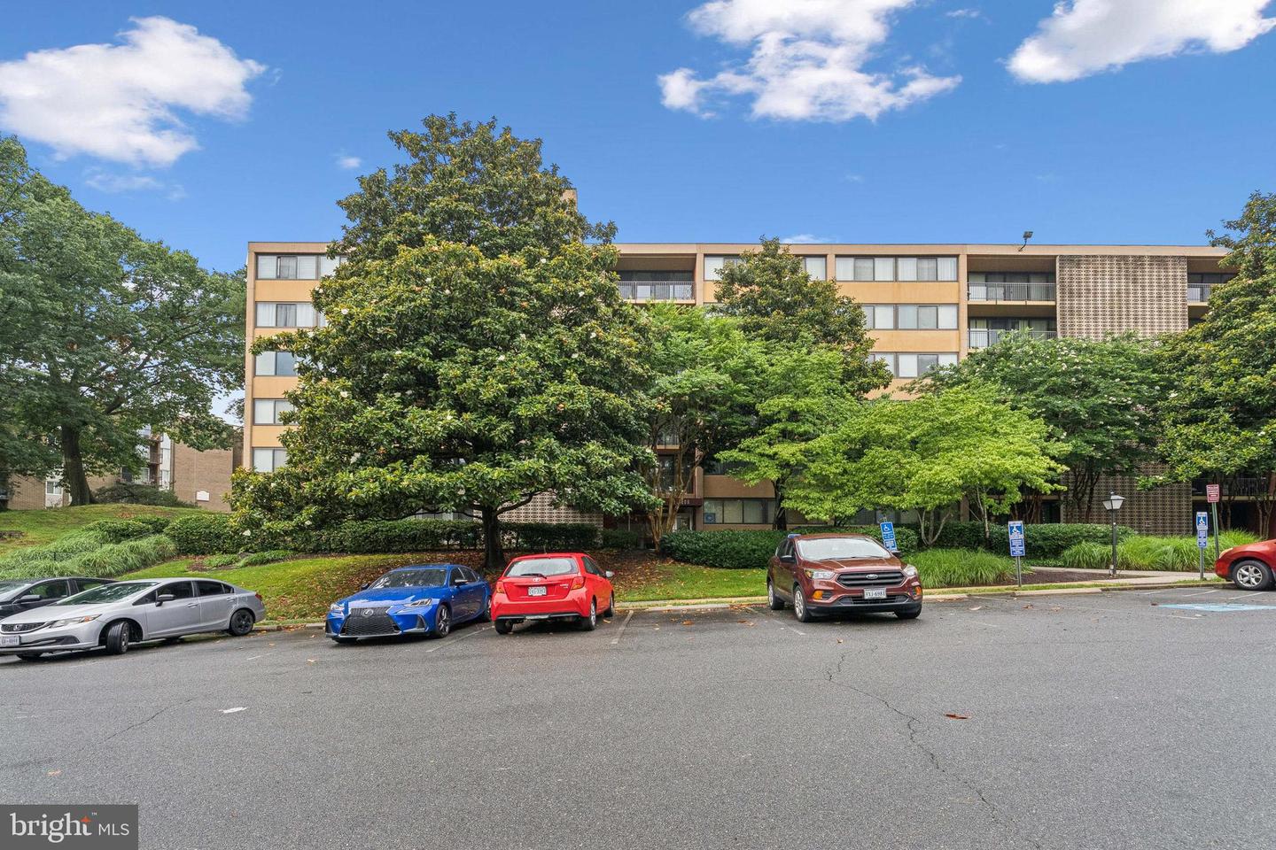 16 S Van Dorn Street #503, Alexandria