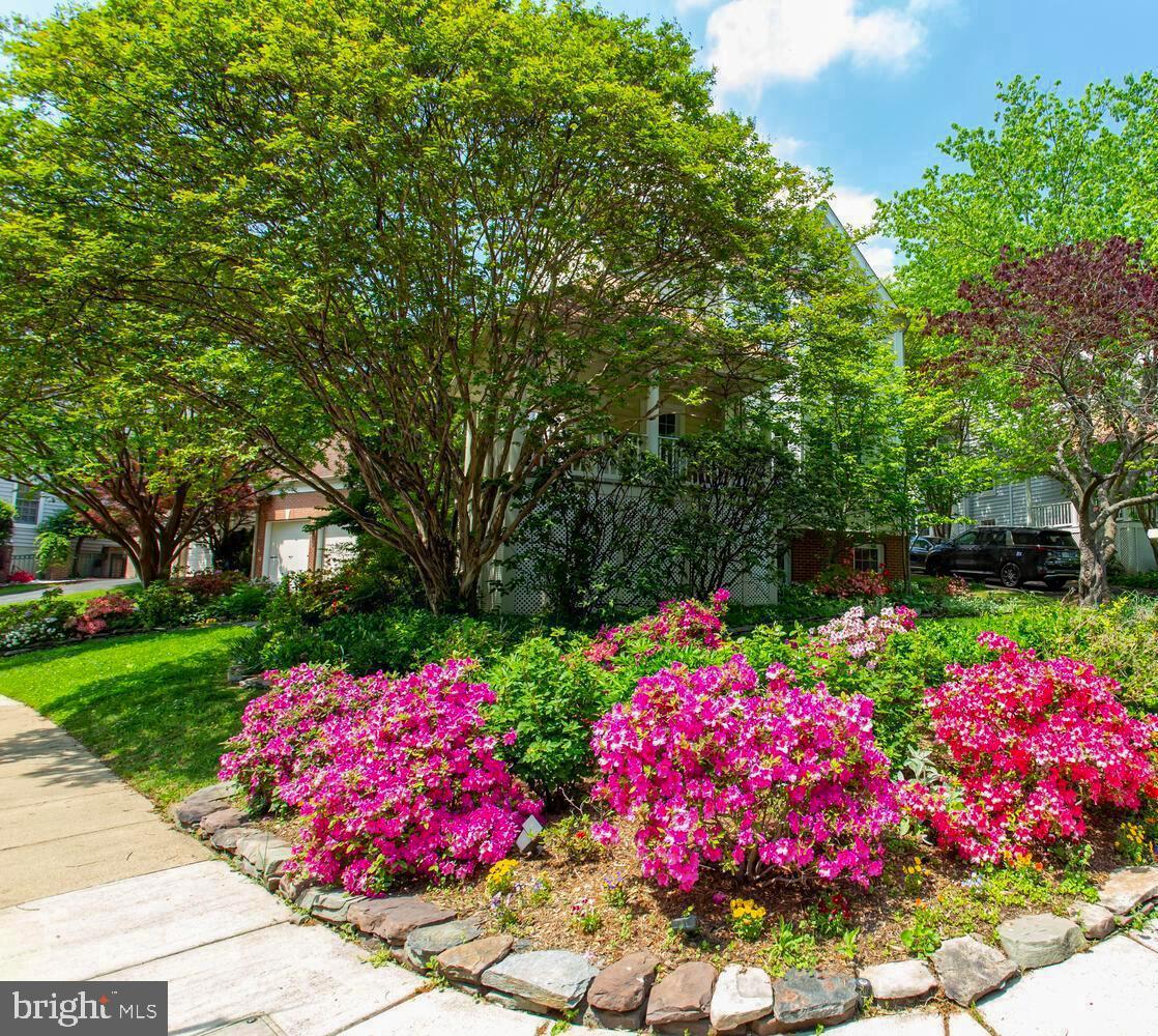 1201 Dartmouth Road, Alexandria