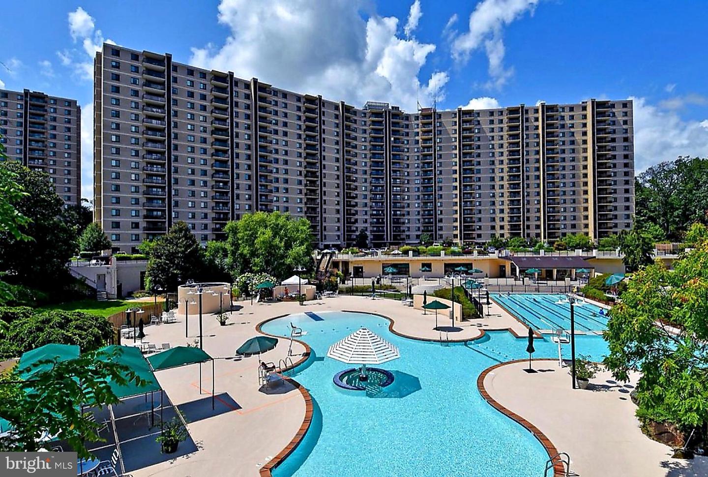 205 Yoakum Parkway #823, Alexandria