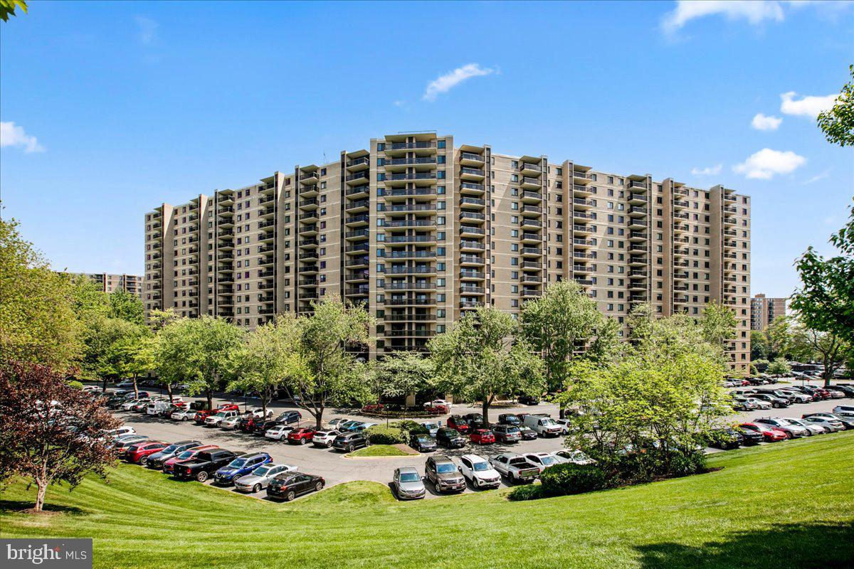 205 Yoakum Parkway #817, Alexandria