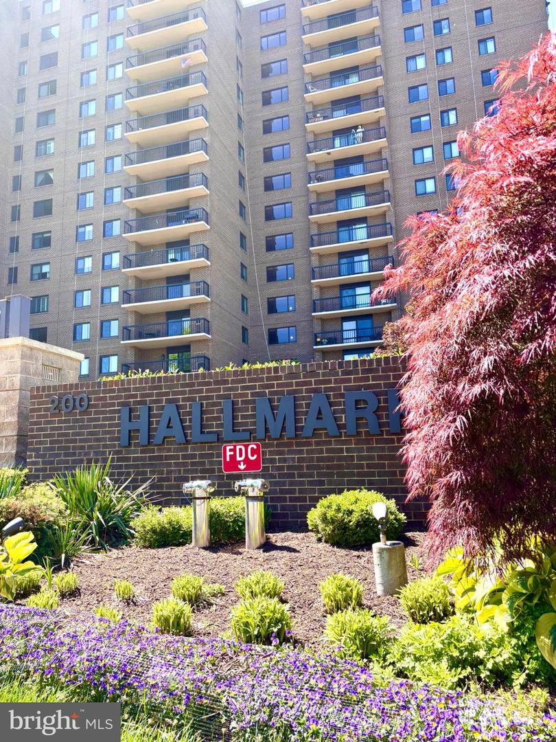 200 Pickett Street N #1114, Alexandria