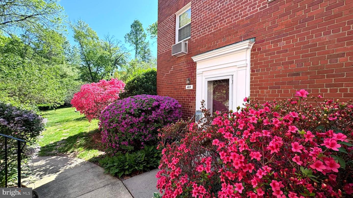 1619 Mount Eagle Place