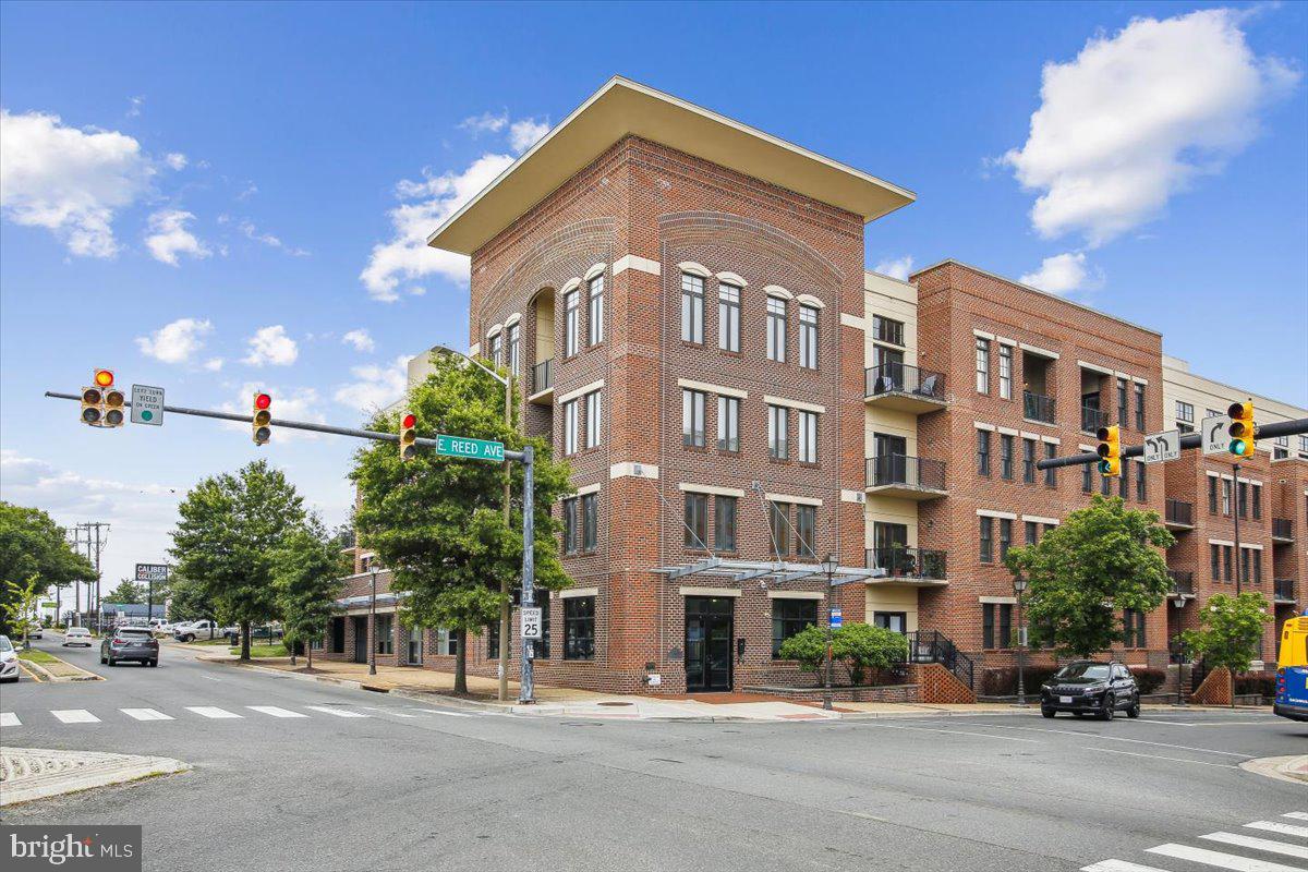 181 E Reed Avenue #203