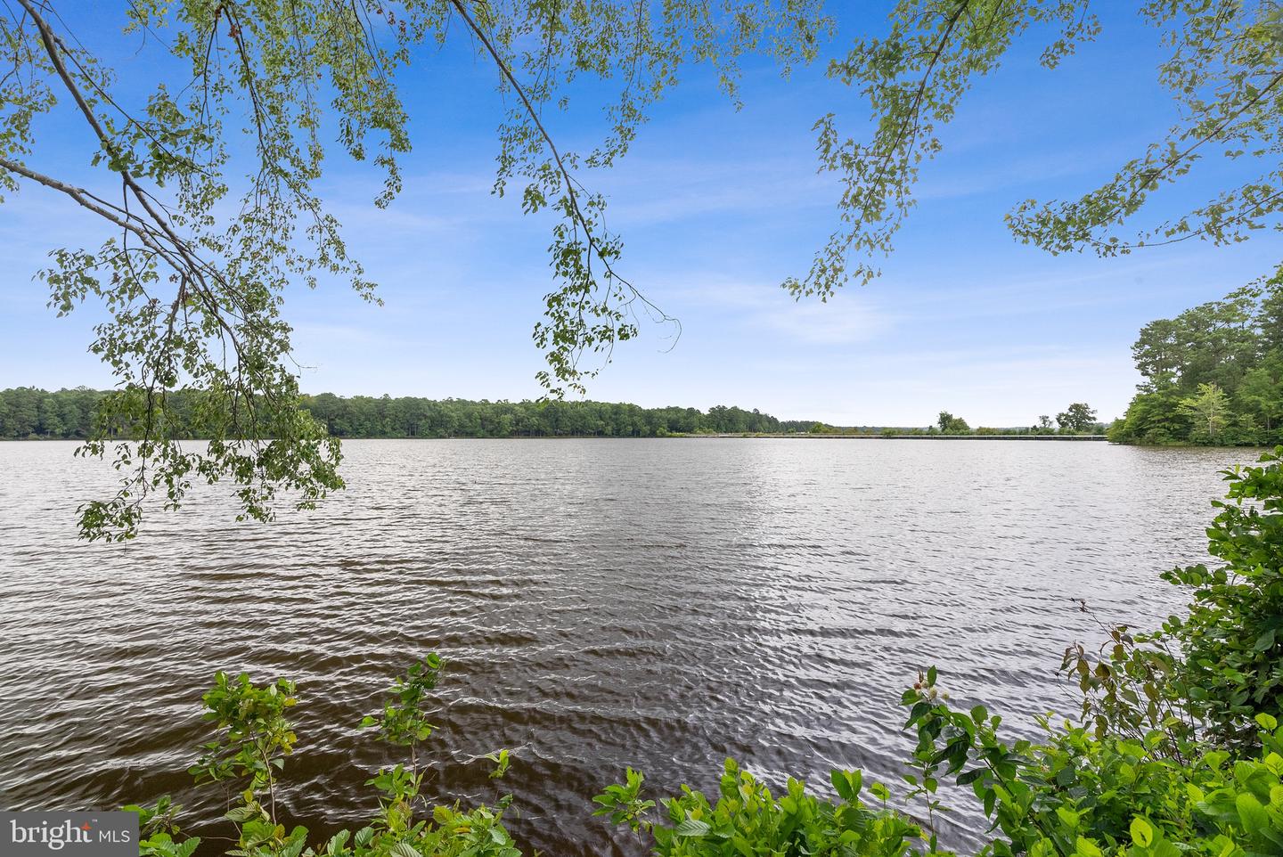 3007 Cove View Lane, Midlothian