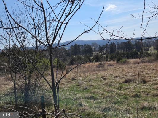 11419 Twin Mountains Road, Rapidan