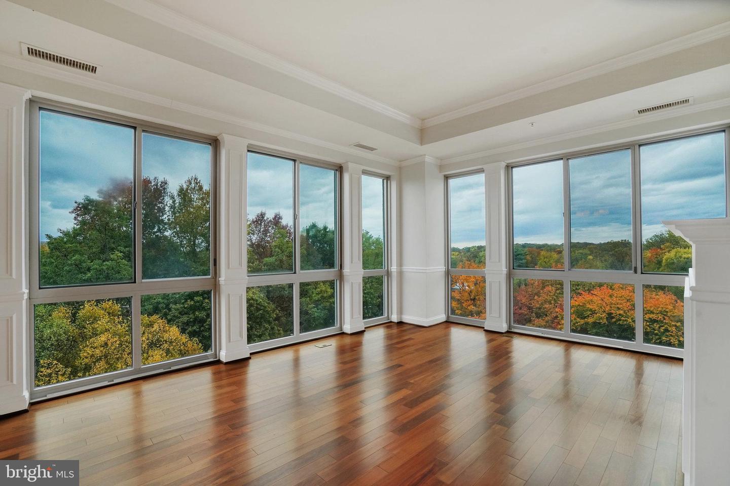 513 W Broad Street #702, Falls Church