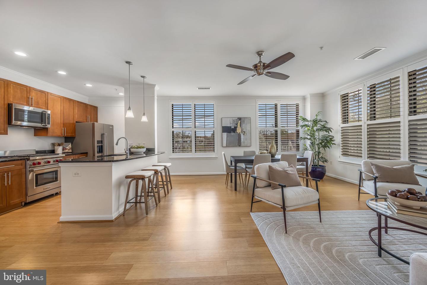 444 W Broad Street W #307, Falls Church