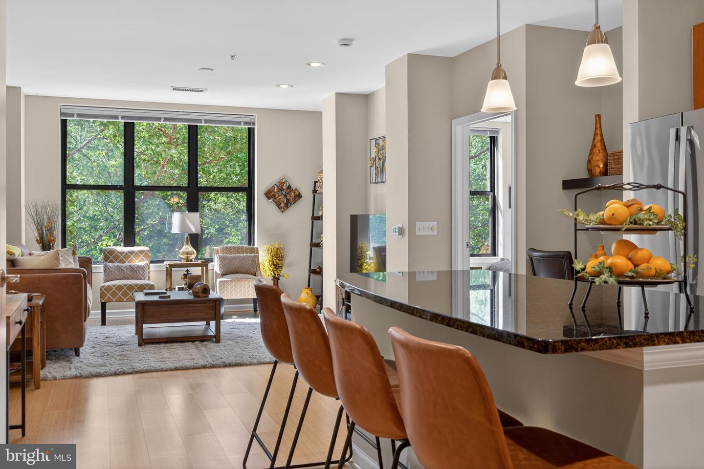 444 W Broad Street #230, Falls Church