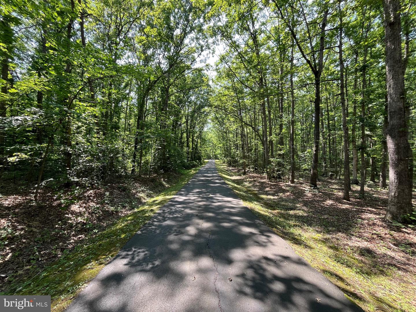 11459 Bristersburg Road, Catlett
