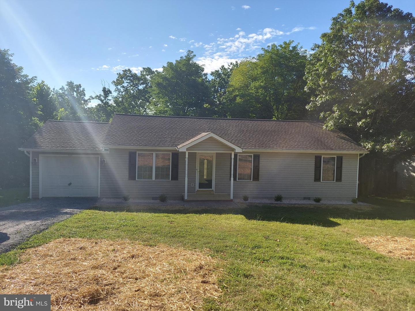 416 Bluebird, Winchester