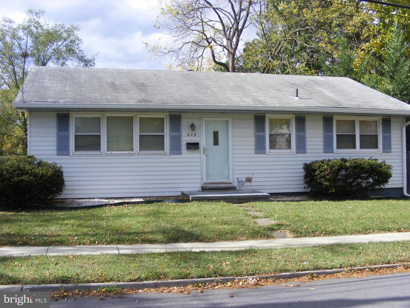 239 Chestnut Street, Winchester