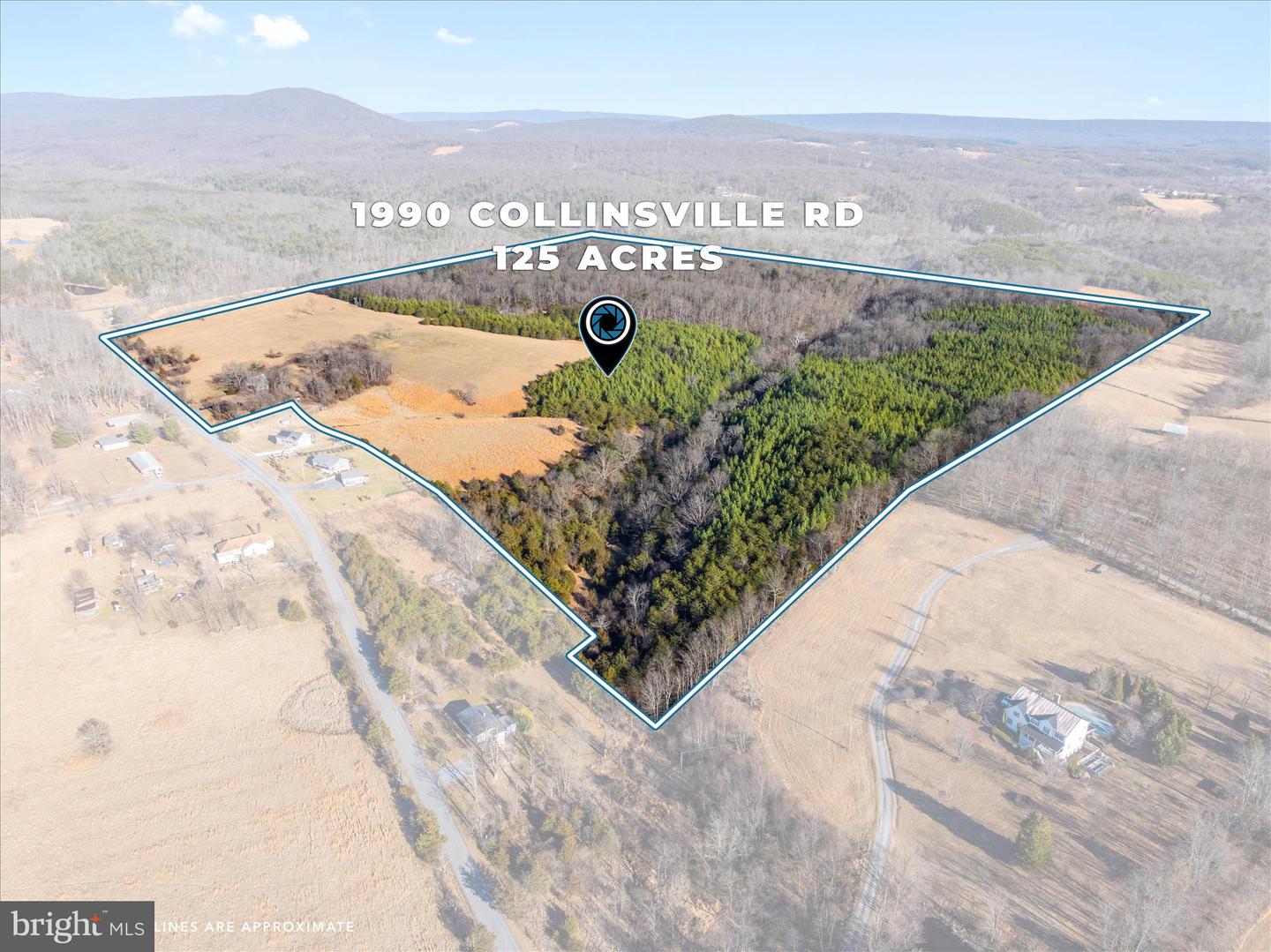 1990 Collinsville Road, Cross Junction