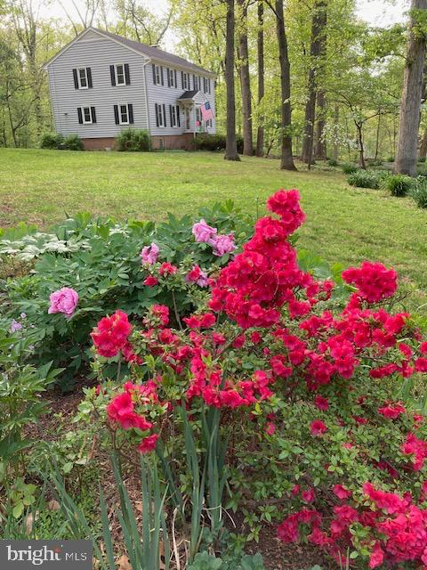 158 Old Forest Circle