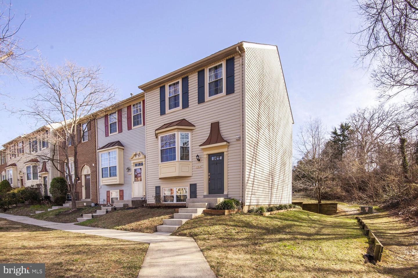 7319 Rhondda Drive, Lorton