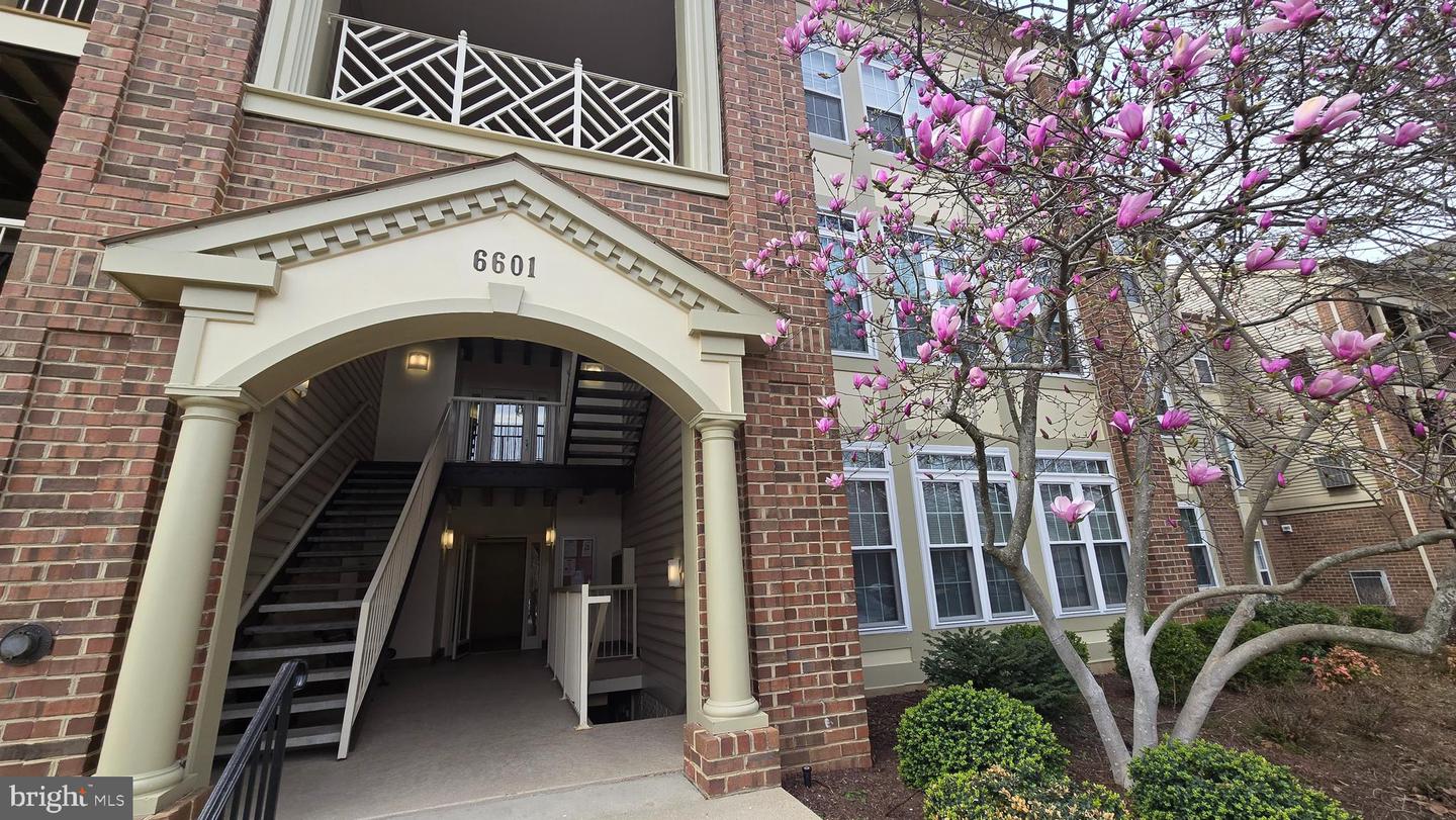 6601 Thackwell Way #3j, Alexandria