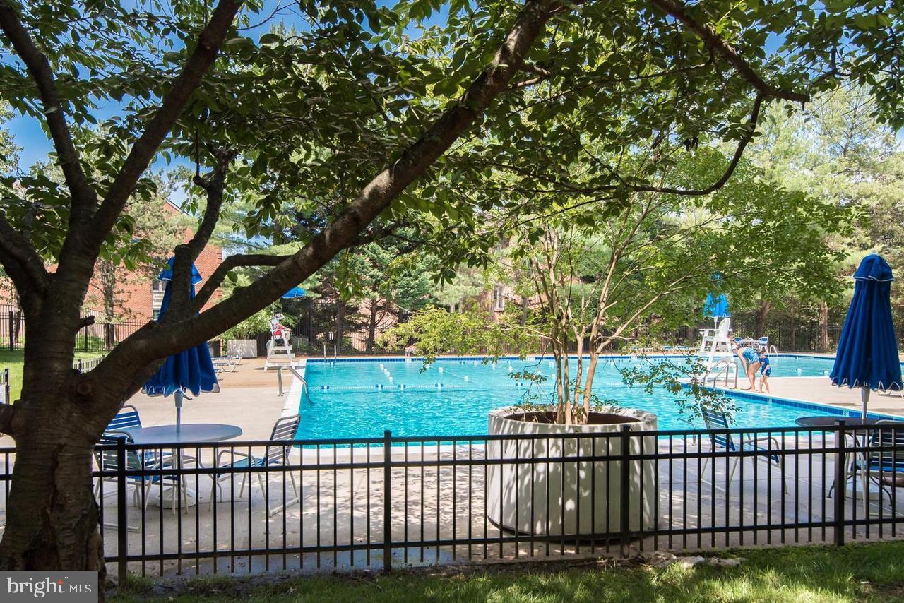 3100 S Manchester Street S #915, Falls Church