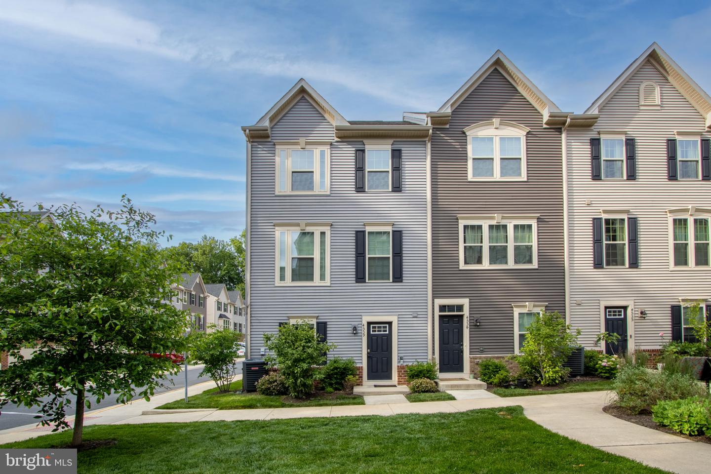 4539 Joseph Bristow Lane, Annandale