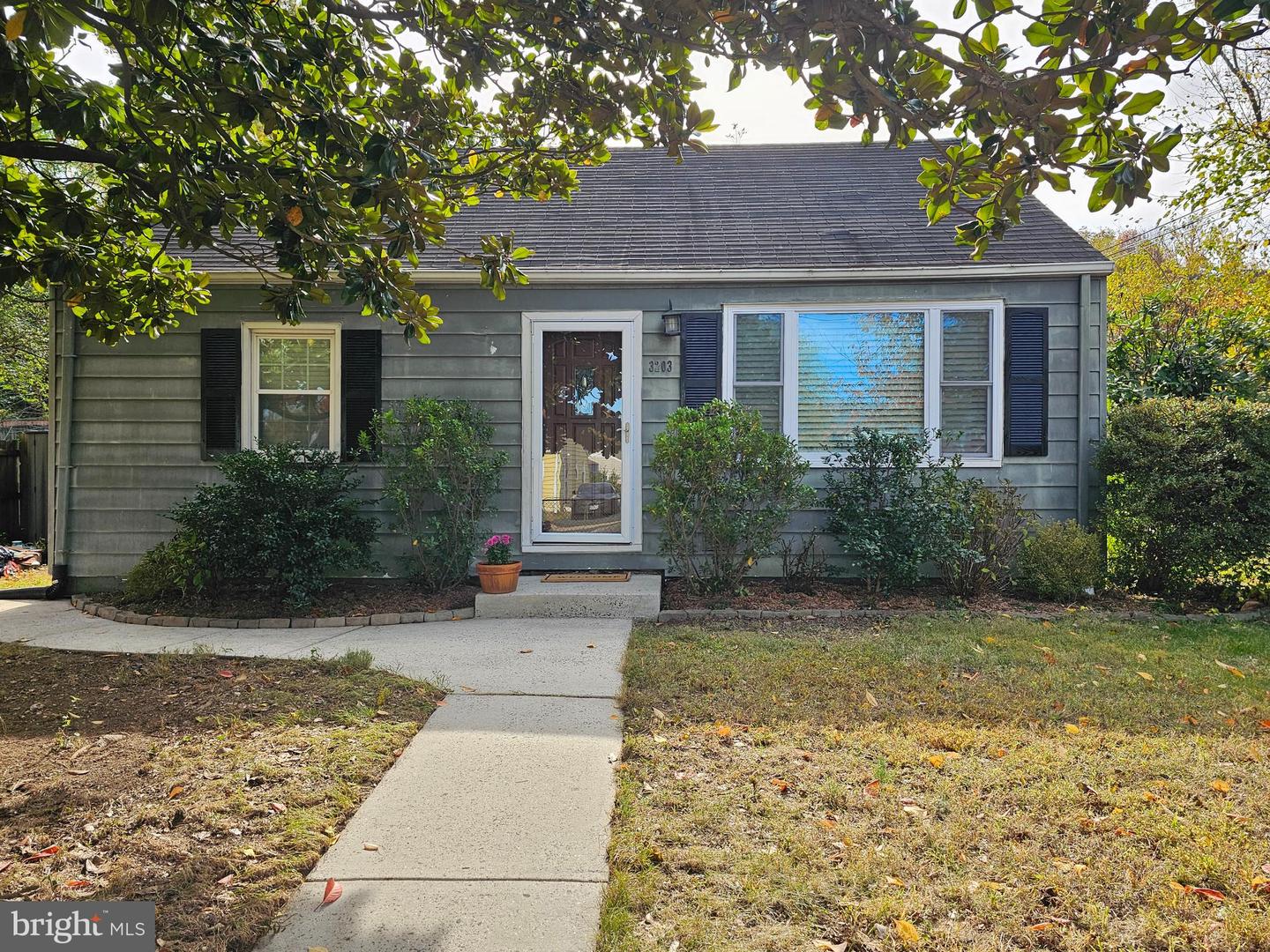 3203 Elmwood Drive, Alexandria