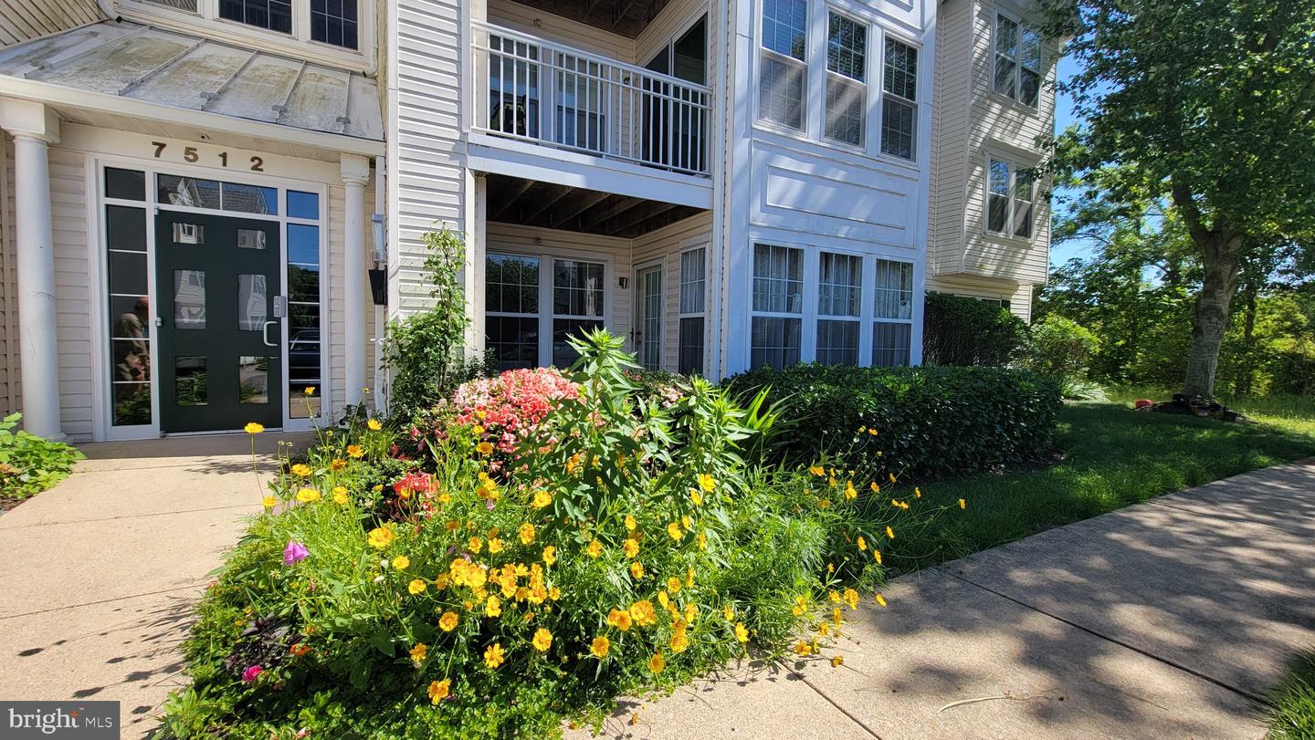 7512 Snowpea Court #d, Alexandria