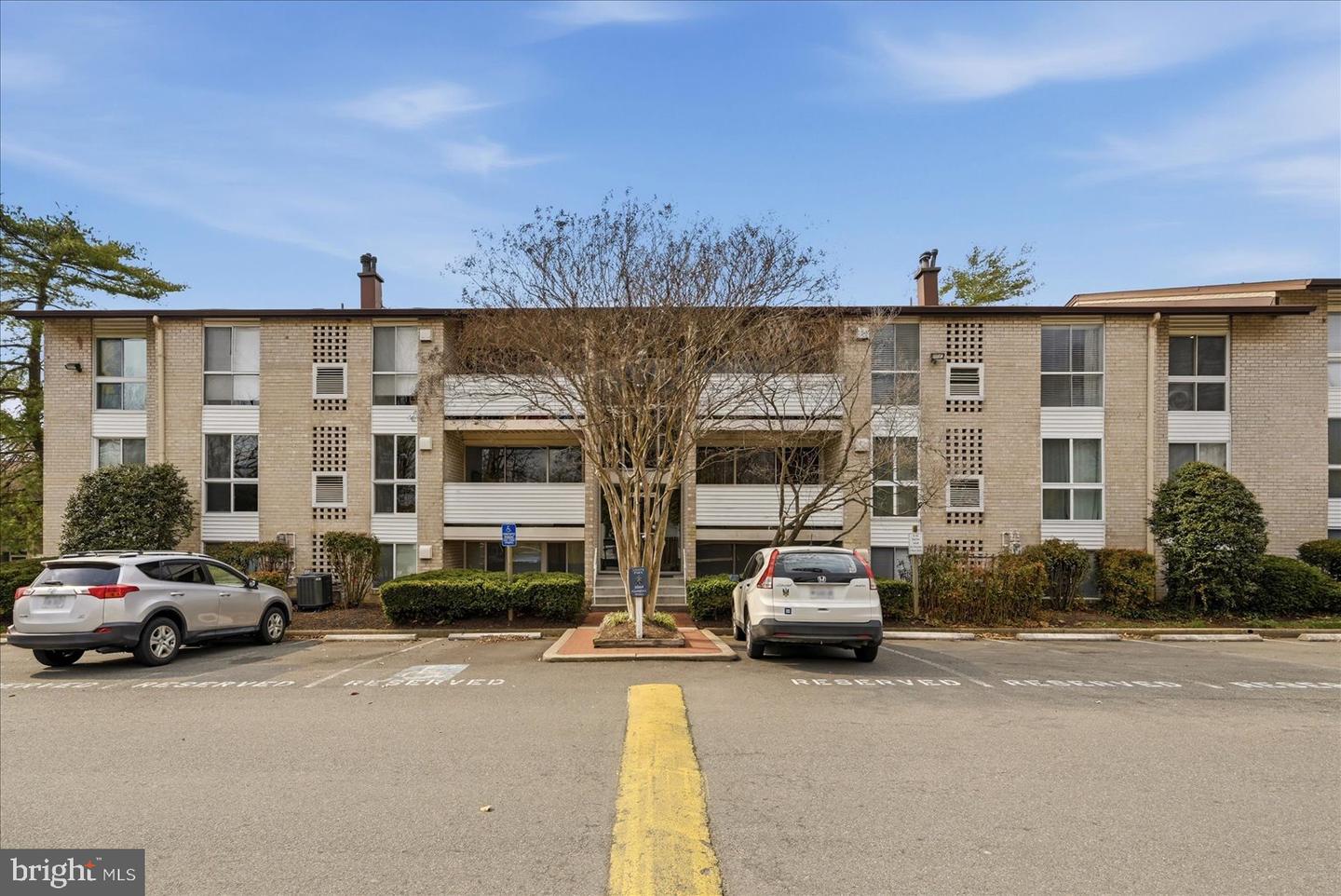 5608 Bloomfield Drive #101, Alexandria