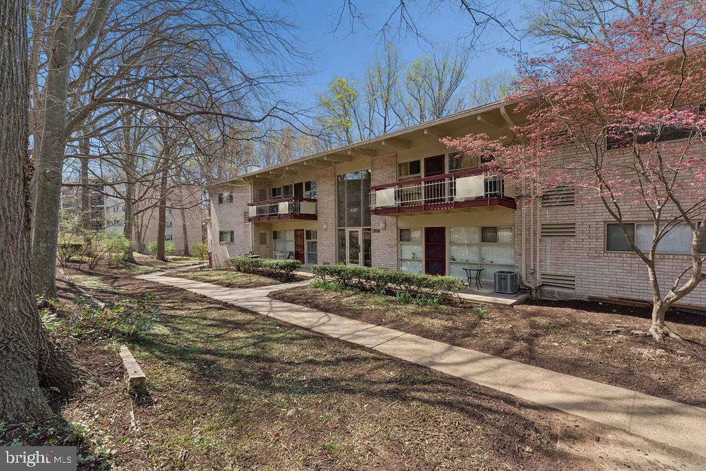 4367 Americana Drive #102, Annandale